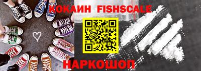 гидра Будённовск