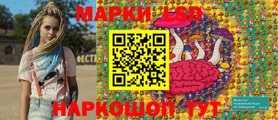 гидра Будённовск