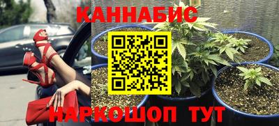 сатива Бугуруслан
